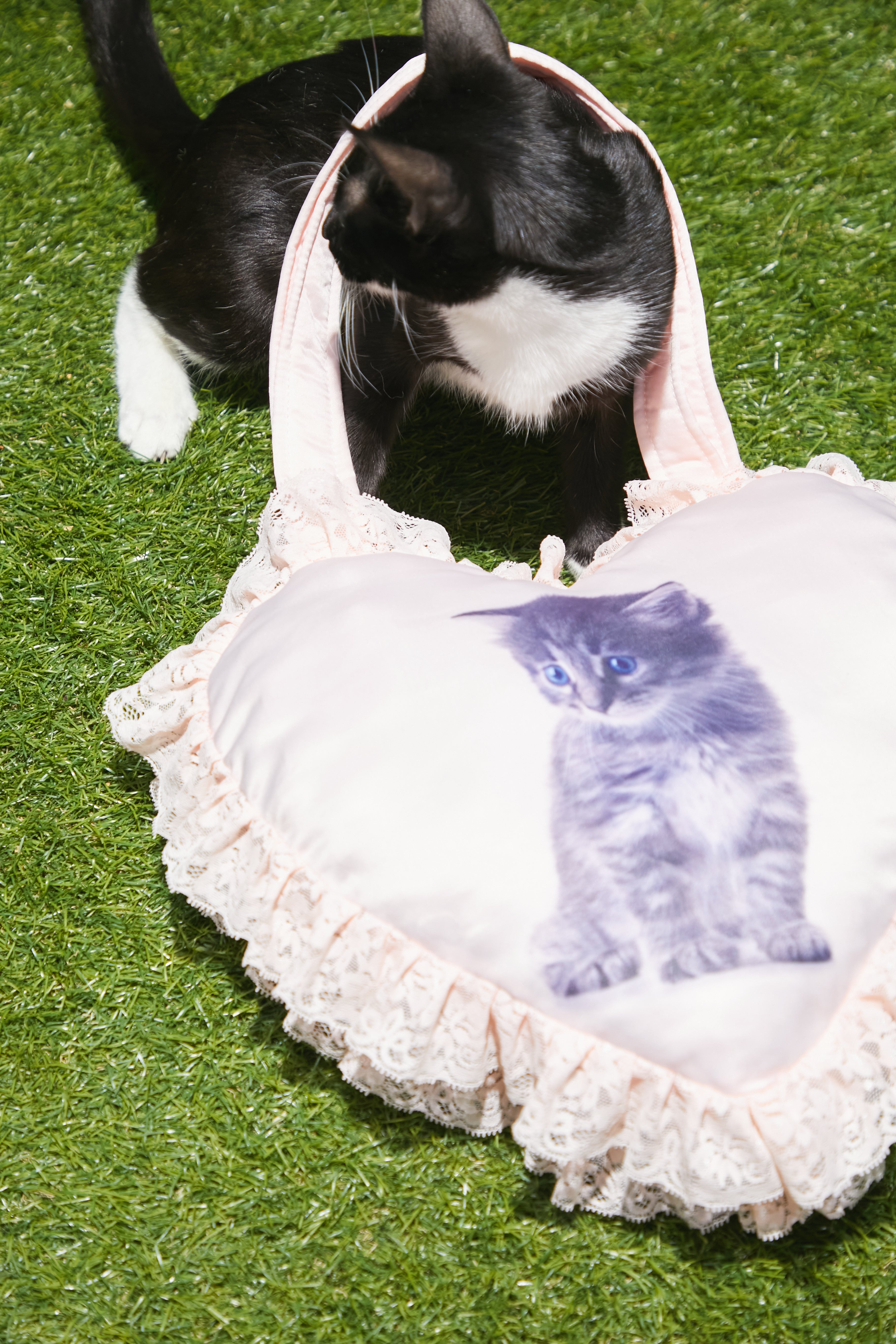 The Kitten Bag-Serpenti Apparel