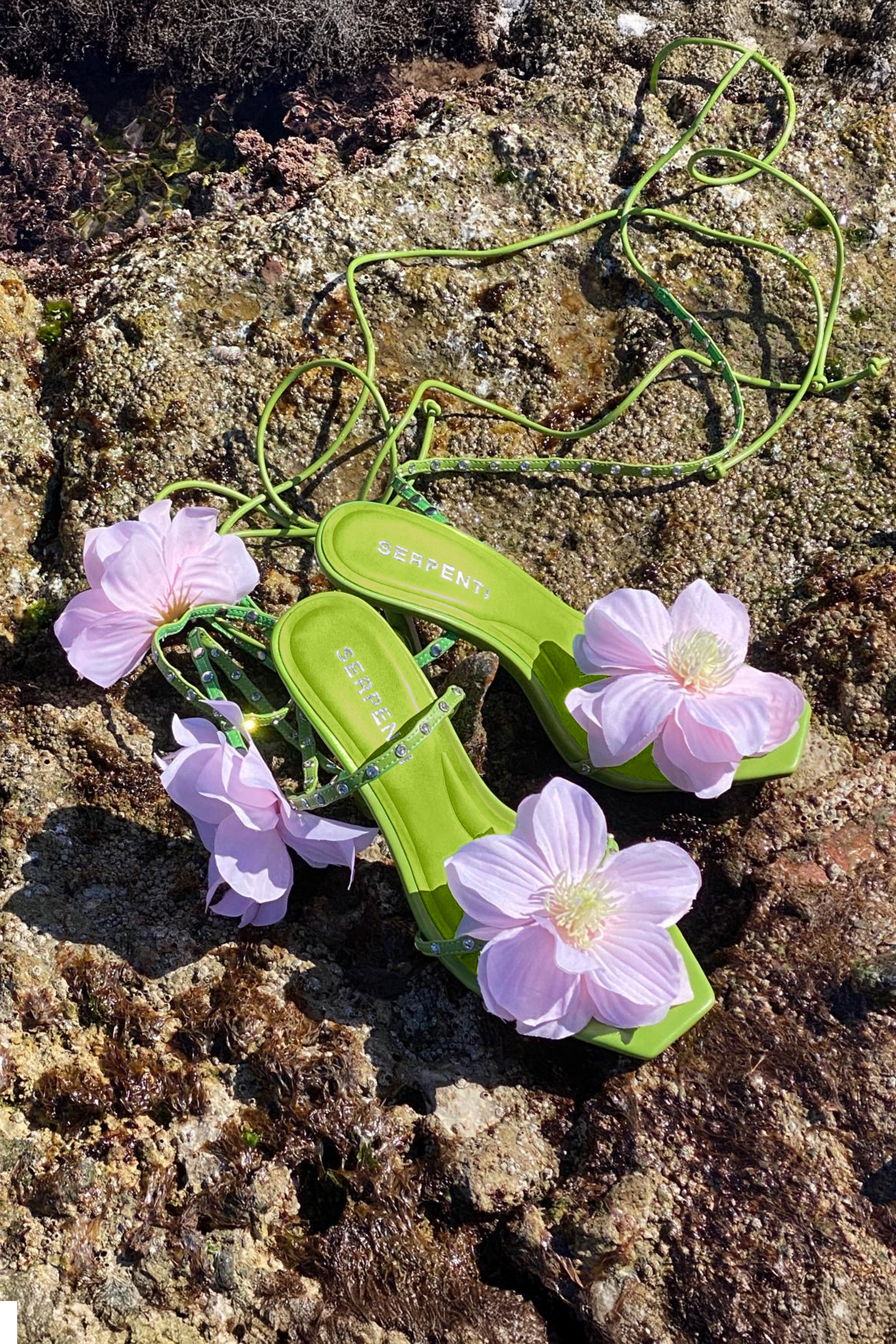 The Paradiso Heel I Watermelon-Serpenti Apparel