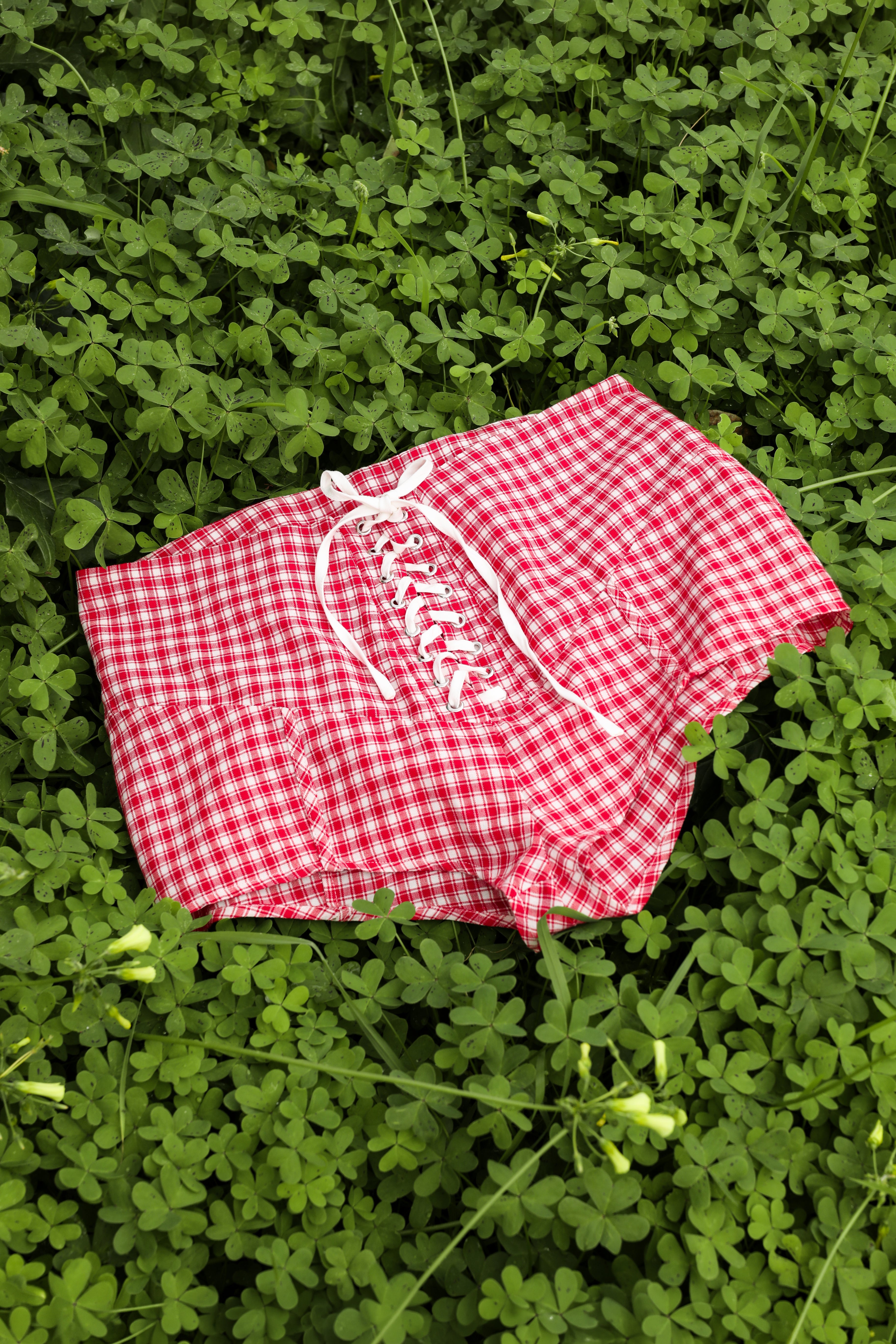 Gingham Micro Shorts – High Waist Cotton Fit | Serpenti